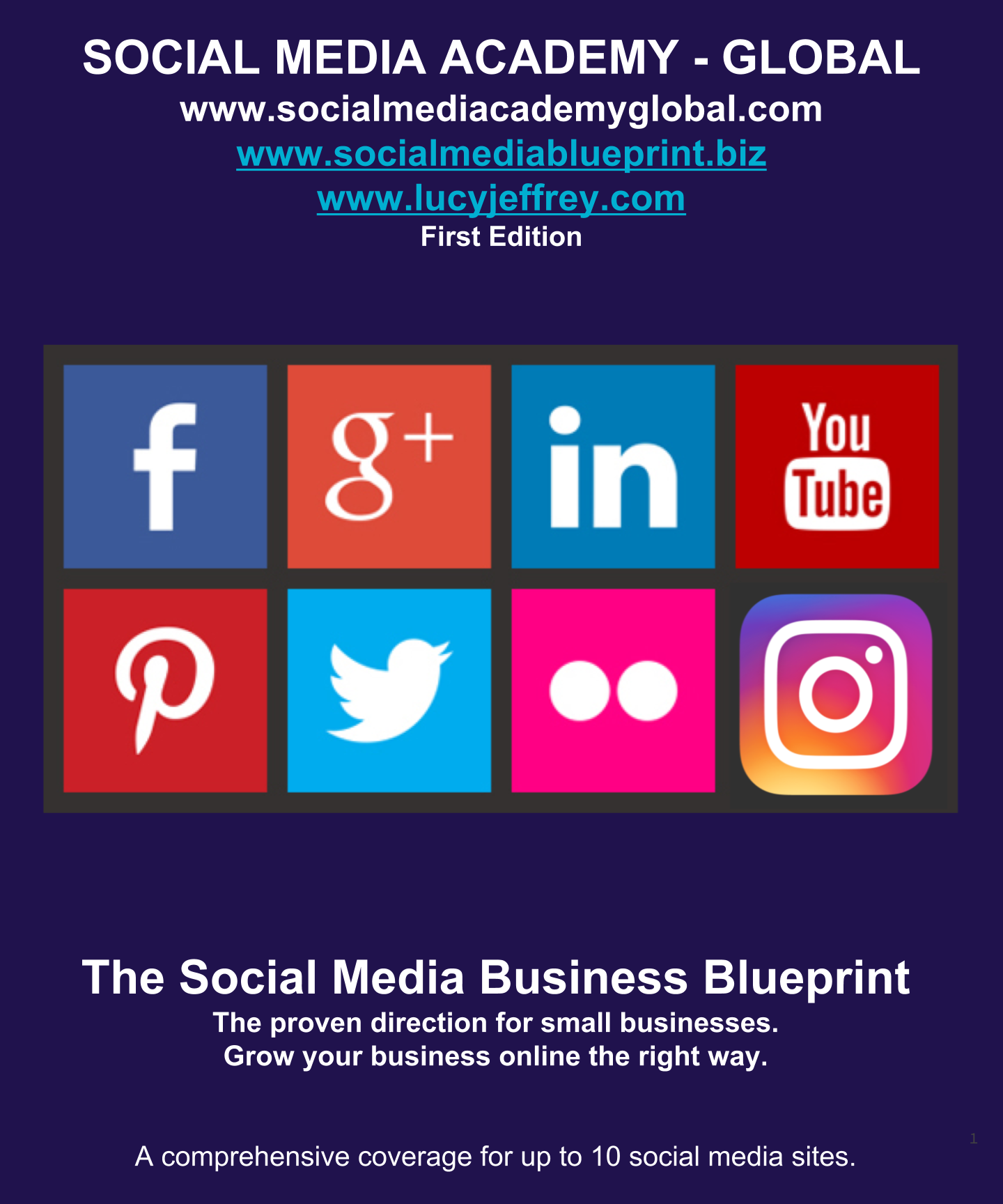 SOCIAL MEDIA BUSINESS BLUEPRINT (e-book) (5)